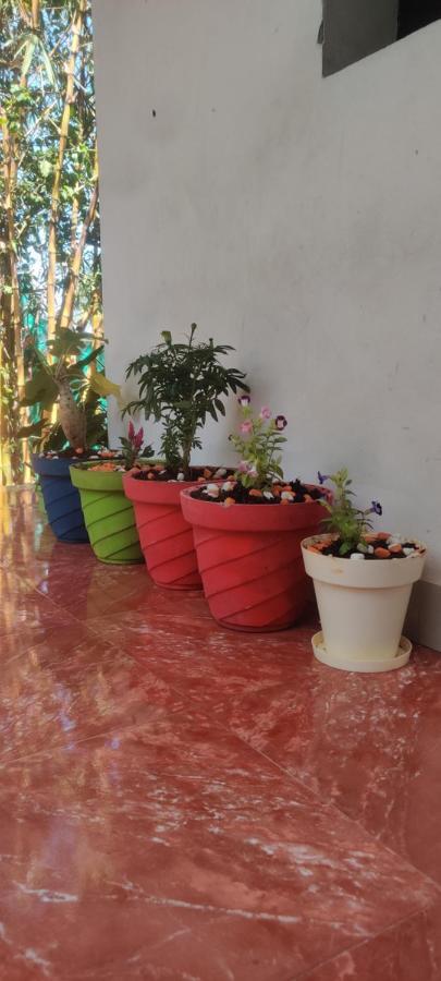 Mahabs Homestay Villa Mahabalipuram Buitenkant foto